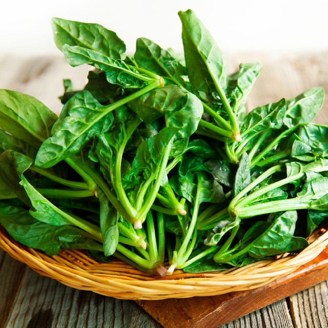 남해안 시금치 특품 500g 1kg 2kg