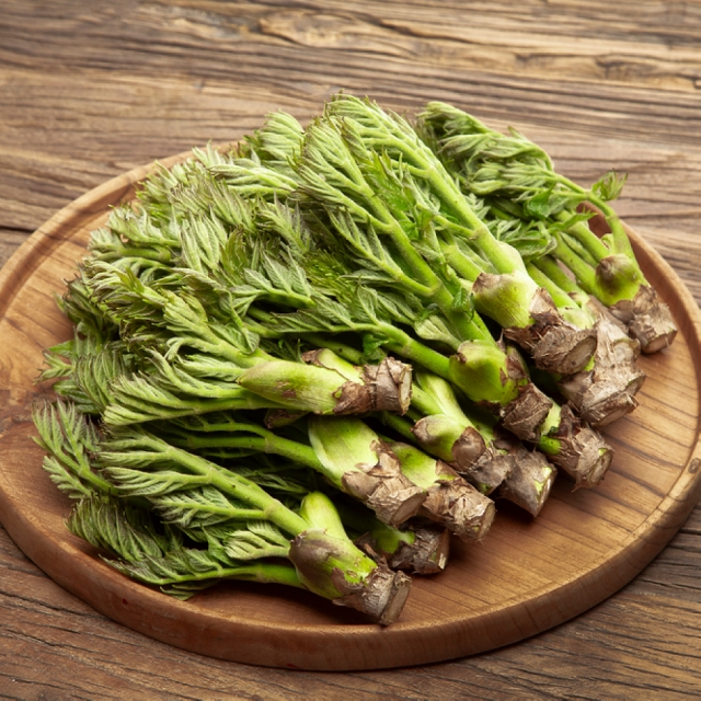 국내산 참두릅 제철 봄나물 500g 1kg