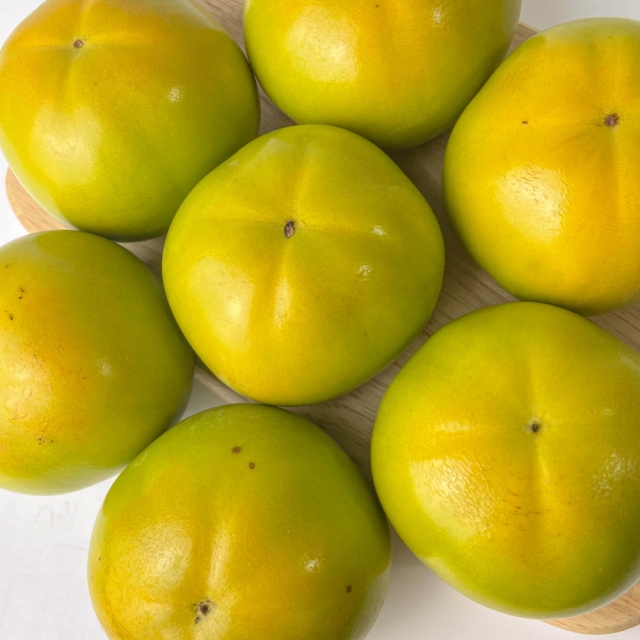 햇 태추 단감 1kg 3kg 5kg