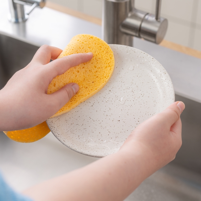 지누쿡X스폰텍스 원형 10팩(오렌지5+그린5)