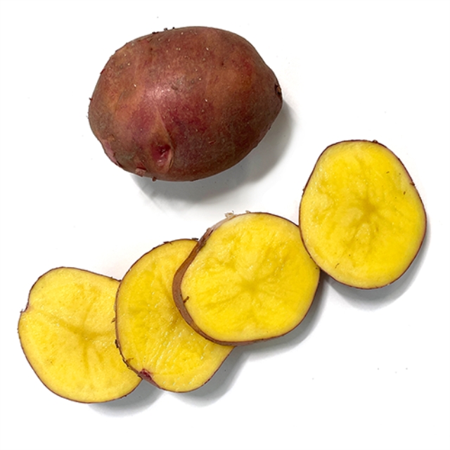 노지 홍감자 1.5kg 3kg