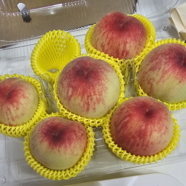 ★기간한정판매★노지 백도 앙기복숭아 1.25kg (7~8과)