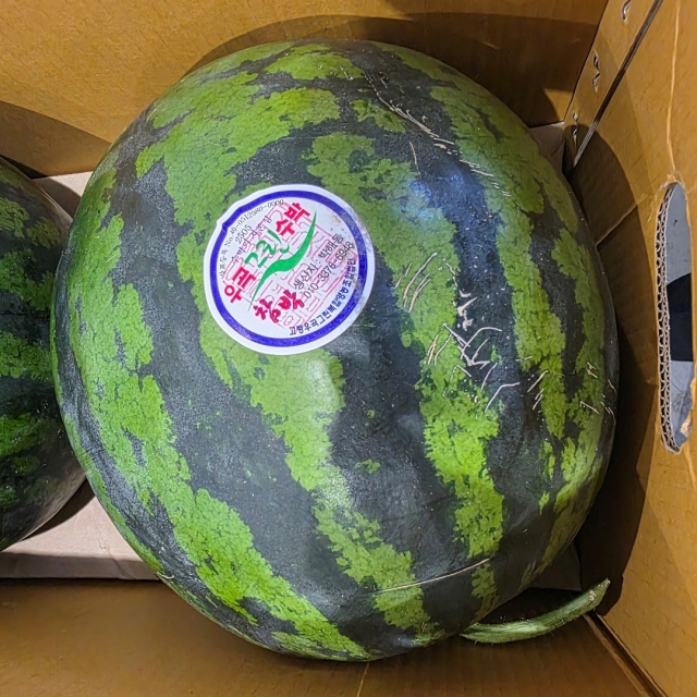 고령 우곡 그린 수박 6kg
