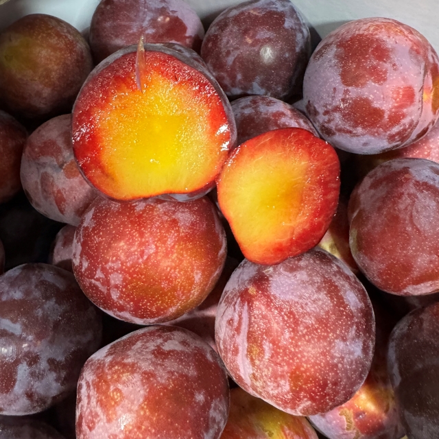 피자두 1kg 2kg