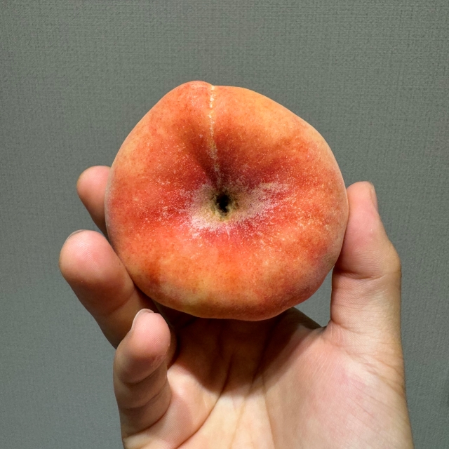거반도 납작 복숭아 1kg 2kg