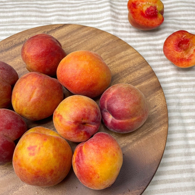 플럼코트 (하모니) 1kg