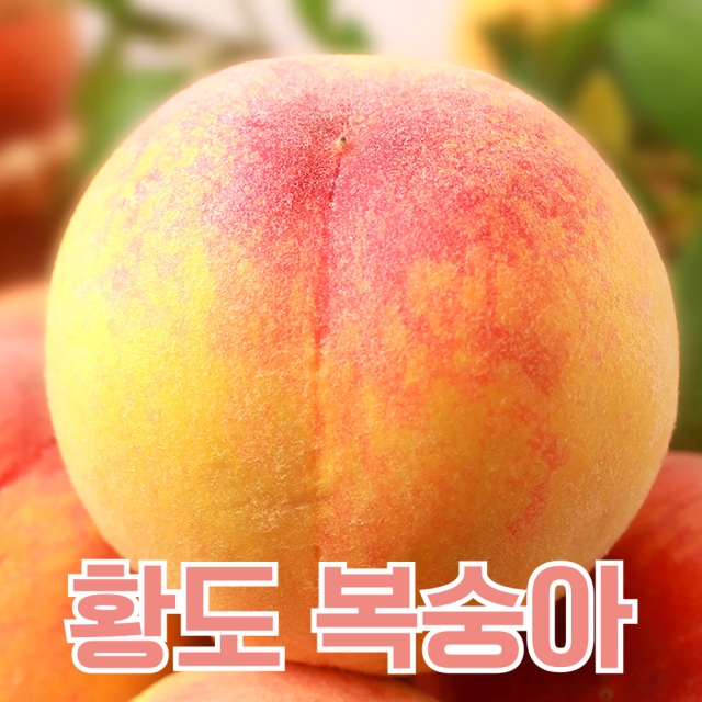 달콤한 황도 복숭아 1kg / 2kg / 4kg