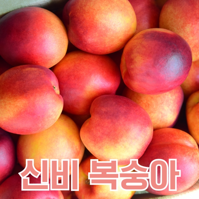 프리미엄 신비복숭아 1kg / 1.5kg / 2kg