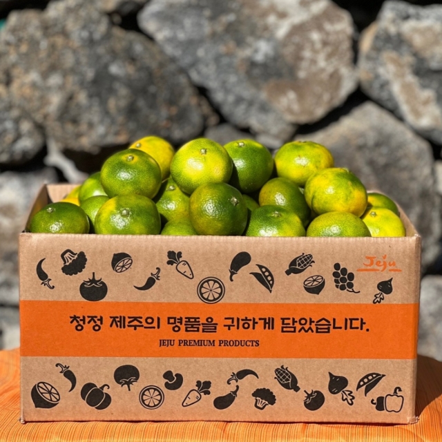 극조생 타이백감귤 (2.5kg~9kg / 중대과·로얄과·소과·프리미엄과 선택)