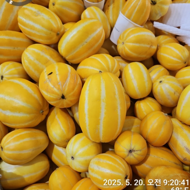 울진싱싱프래쉬_SSF_사진_20250520_2.jpg