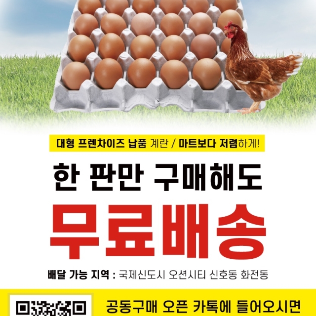 계란 30구 한판 [중란,특란,왕란]