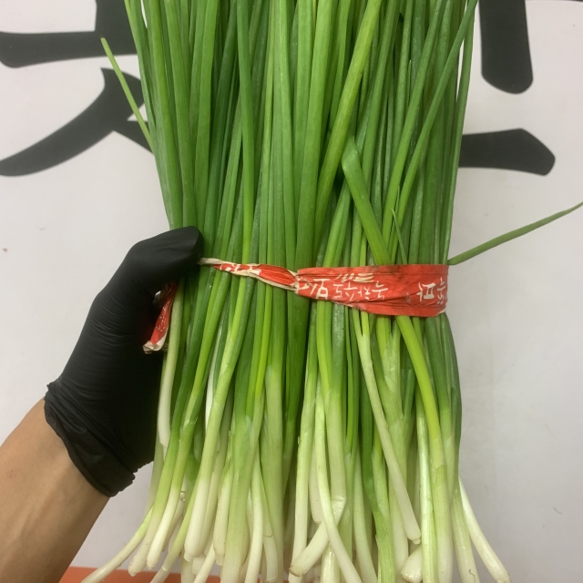 새벽경매 깐쪽파 반단,1단(800g내외)