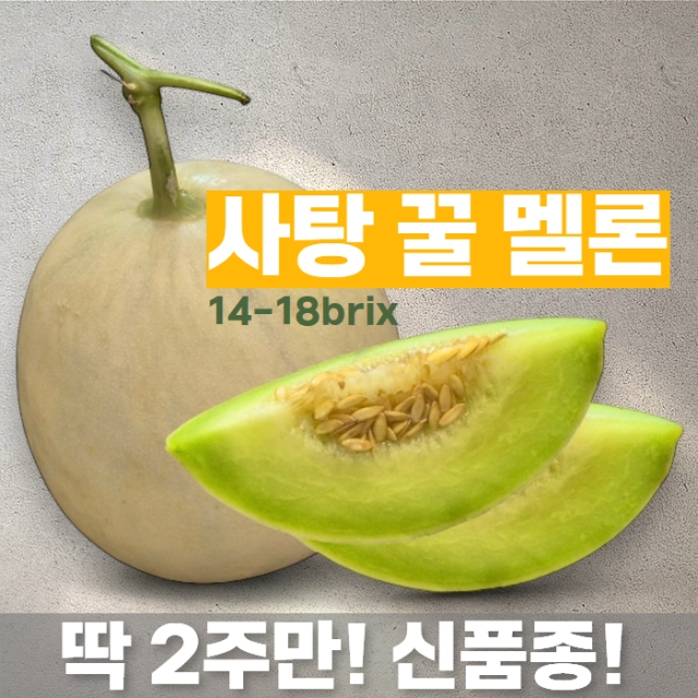 한정 신품종 사탕 꿀 메론 1.2kg