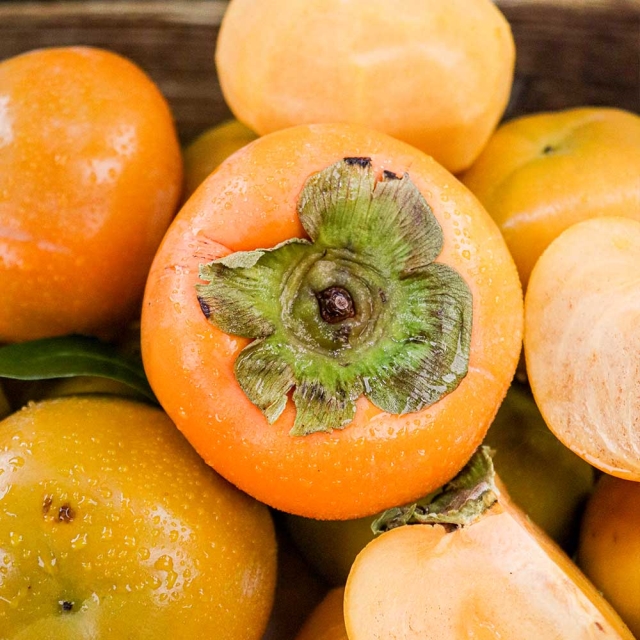 25년 옥황 꿀부유단감