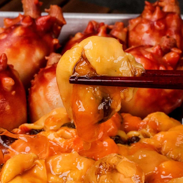 동해안 제철 활 통멍게
