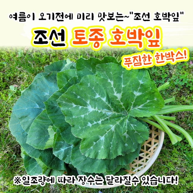 입맛 돋우는 조선호박잎
