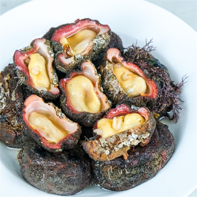 거제도 특 돌멍게