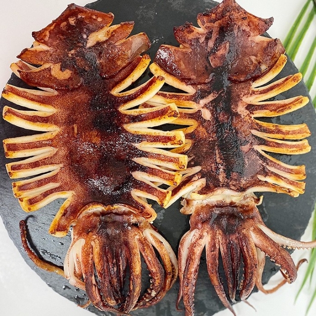 반건조 오징어