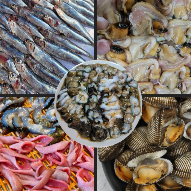 거제도 해산물 모음