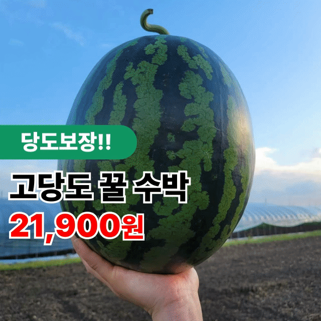 당도보장! 수박 가정용 5kg~10kg