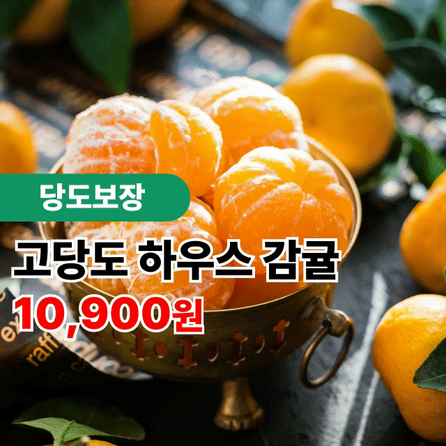 [제주직송] 제주 극조생 감귤 실중량