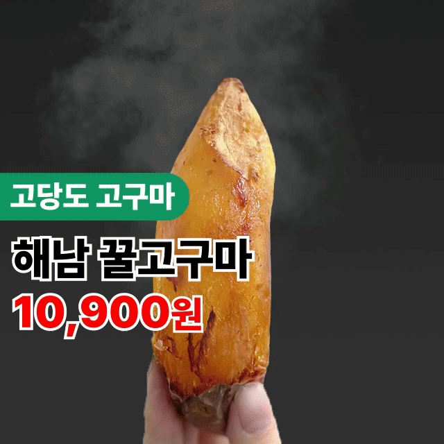 ★주문폭주★꿀이뚝~뚝! 리얼 꿀고구마  3kg 5kg 10kg