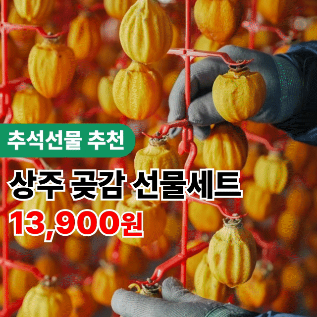 상주곶감 반건시 건시 실속형/선물용 명절선물 부모님선물 간식 추천!