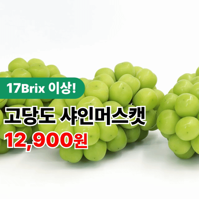 ★[당도보장] 프리미엄 샤인머스캣 실속형 특품