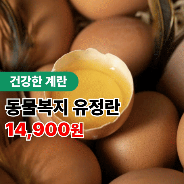 동물복지 무항생제 자유방목 유정란(난각번호 1번) 20구 40구