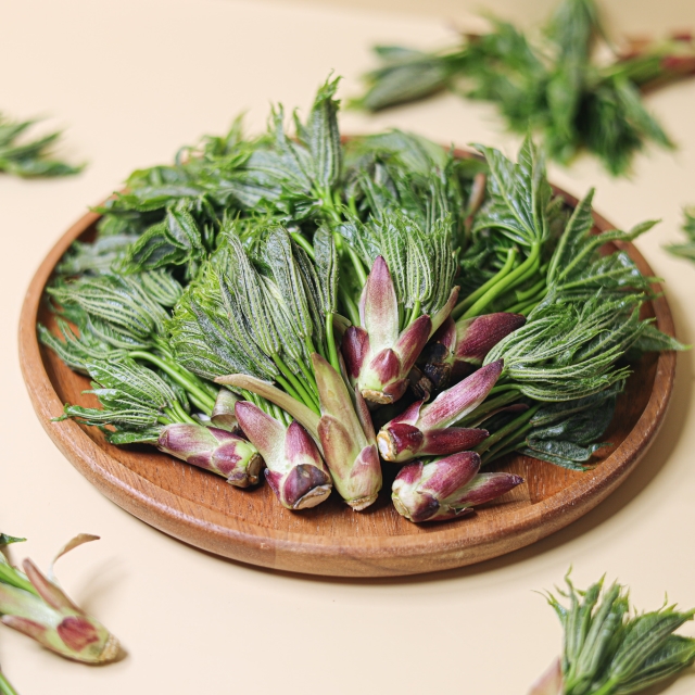 지리산 제철 맞은 햇 엄나무순  500g / 1kg