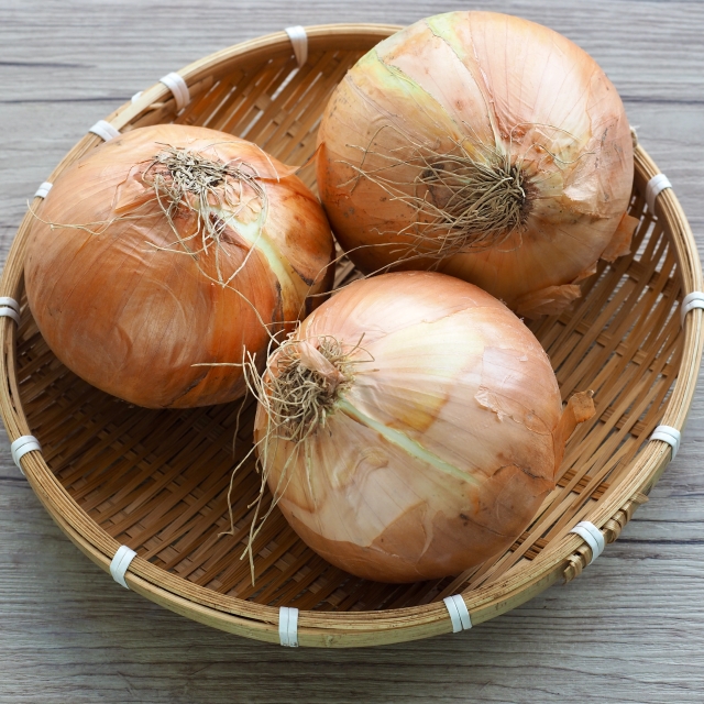 국산양파 한정특가