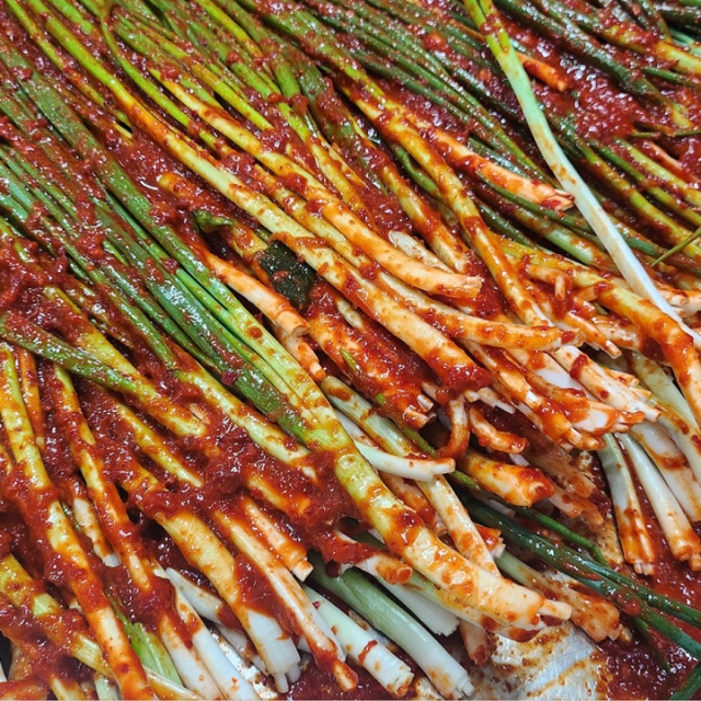 26년전통 귀빈정 국산고추가루 진심 파김치500g
