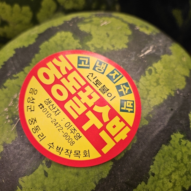 🍉매일매일 제일 당도 높은 산지로부터! 오늘은 ‘음성 중동수박’입니다🍉