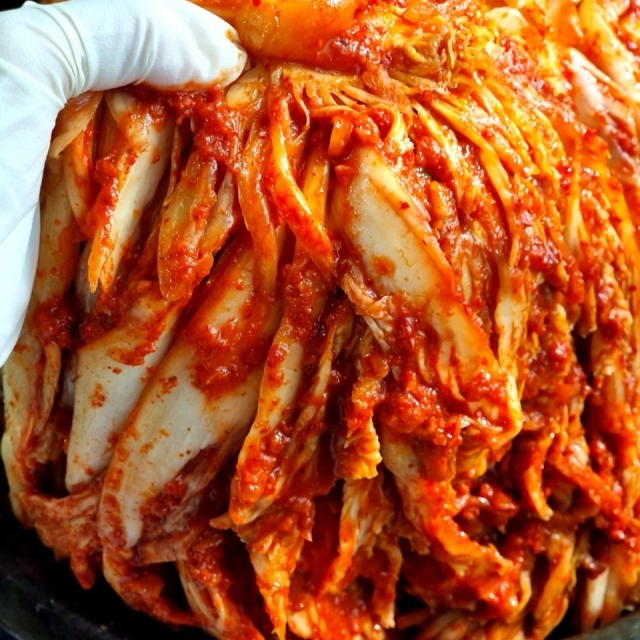 국내산 포기김치 [한정특가]