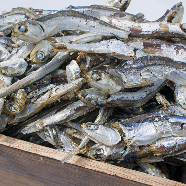육수용 멸치 1.5kg 