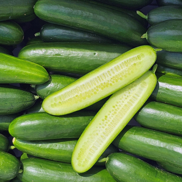 🥒한입에 쏙! 깜찍한 크기 미니오이 포켓오이 