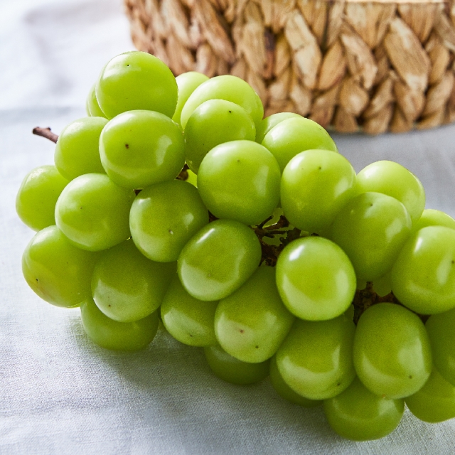 실속용 샤인머스캣 2kg 5~6수 