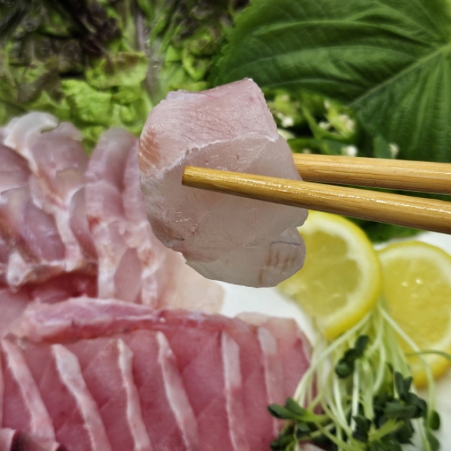 숙성 민어회 300g