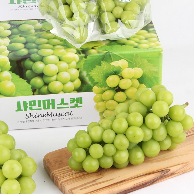 고당도 샤인머스켓 선물세트 2kg  +보자기동봉