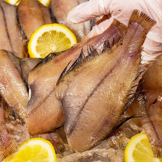 신선함이 살아있는 바다의 맛! 손질 가자미 1.2kg (15~22미 내외)