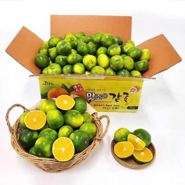 [25년 첫 출하] 제주 햇 극조생 감귤 2kg~