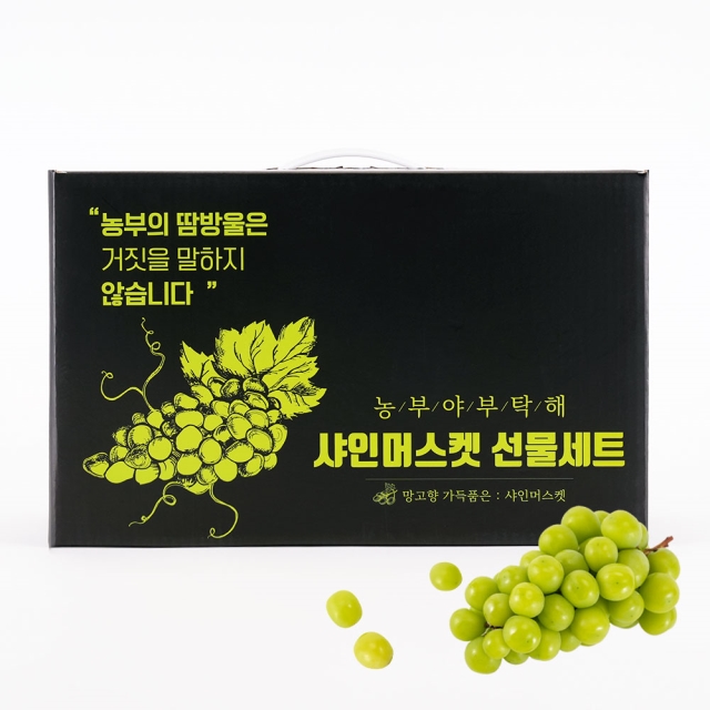 [★선물추천] 특등급 프리미엄 샤인머스켓 선물세트 2kg 2~3수