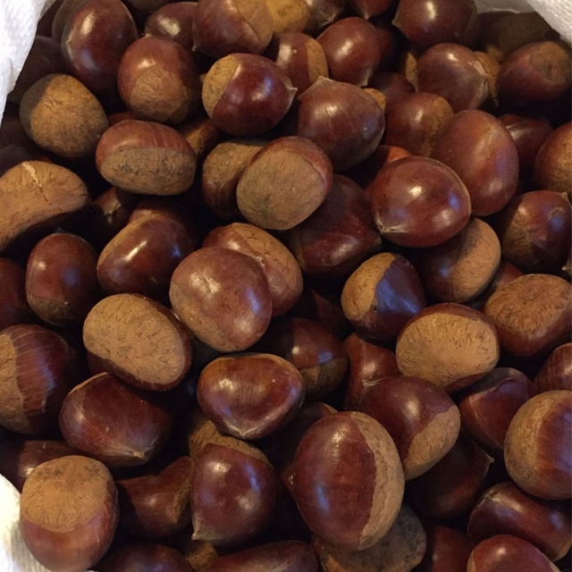 꼬소한 맛이 한가득! 공주 햇 알밤 1kg