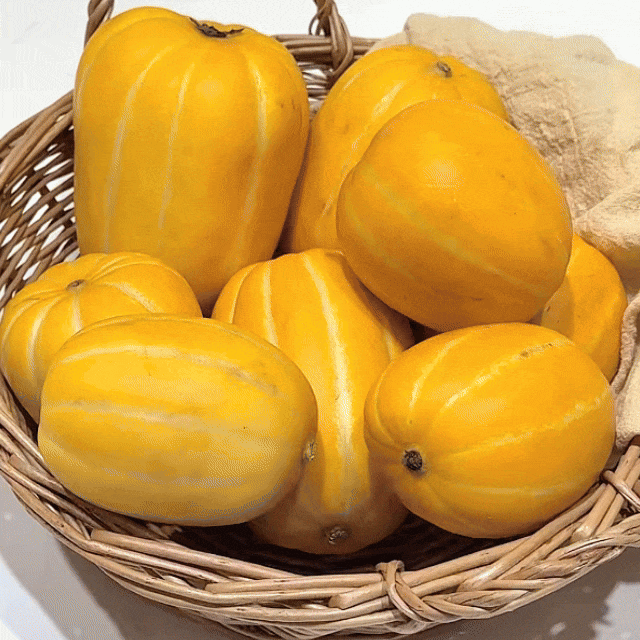 [25년 첫 수확!] 100% 국내산 달디달고 단 성주 옥황 꿀참외 5kg ★초특가 시즌오픈★ 못난이/가정용