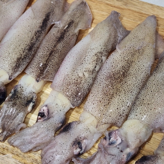 급냉 총알한치