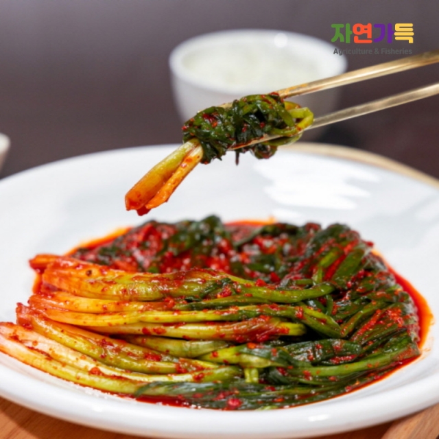 [자연가득] 여수 파김치 1kg-3kg