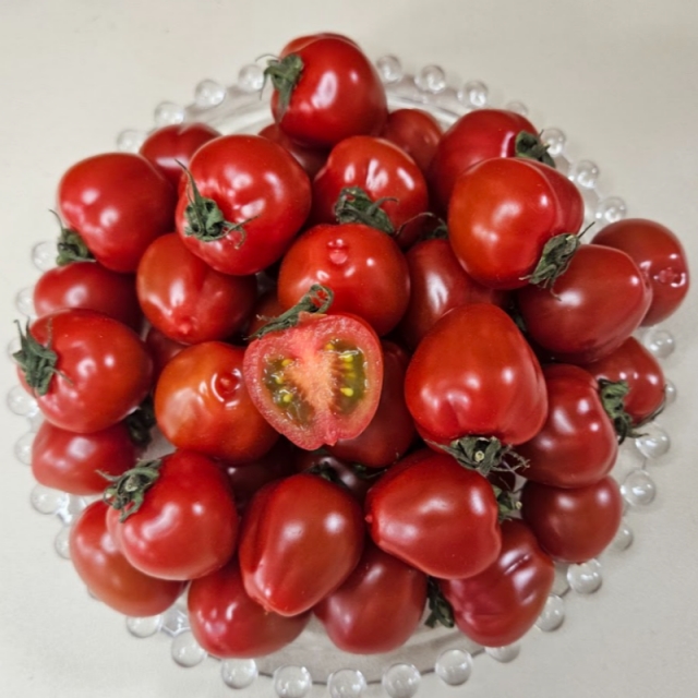 [자연가득] 루비보석과 종모양을 닮은 루비벨 토마토