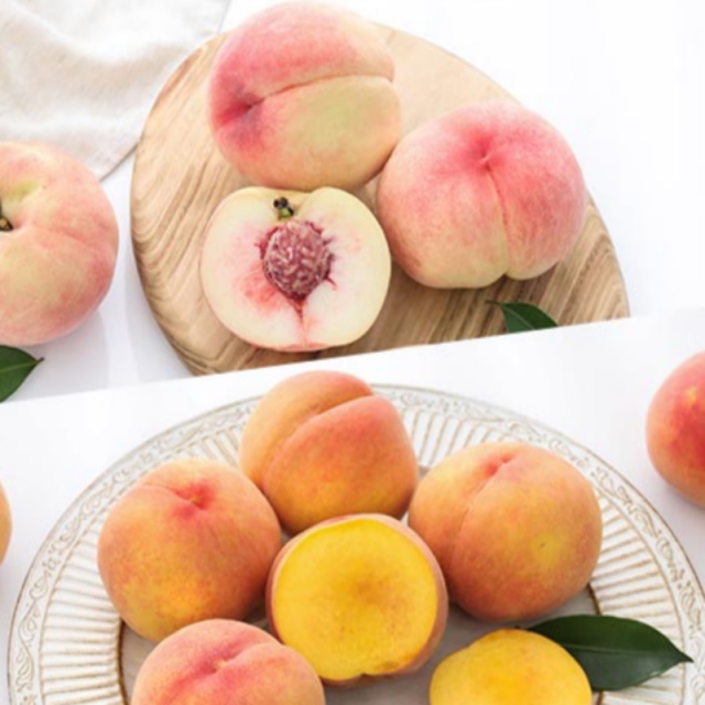 [자연가득] 말랑이 털복숭아 2kg-4kg(중과,대과) 황도 백도 랜덤