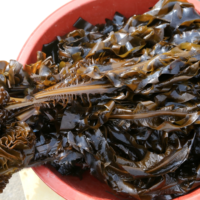 산모들이 많이 찾아 유명한 돌미역