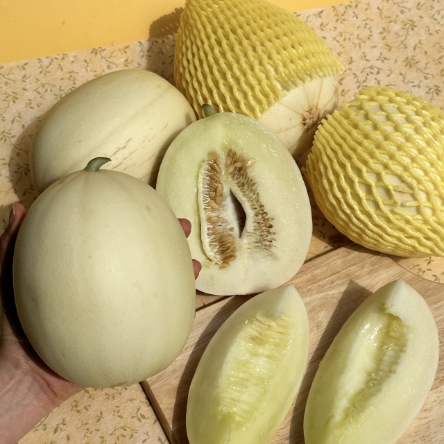 고당도 설향 메론 2kg